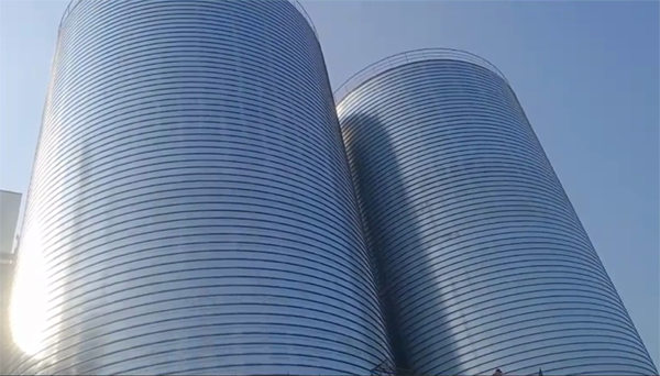 临江2座混凝土高架卷板仓